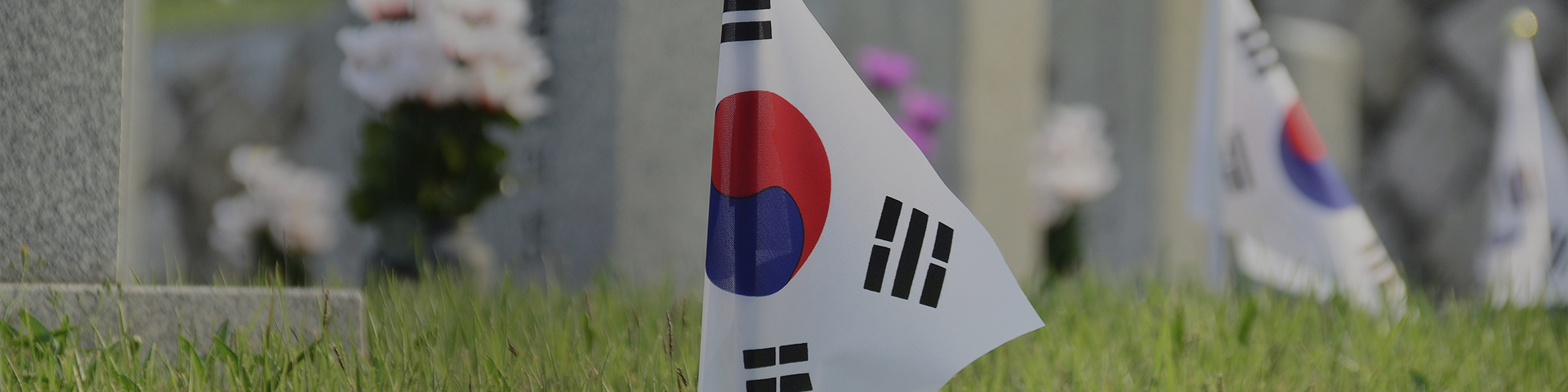 banner03